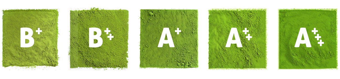 Kyosun Matcha Grades - B+, B++, A+, A++, A+++